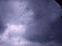NF06_002.jpg