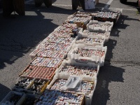 NOARSfest07212012_079.JPG