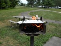 NOARS_Picnic2015_02.jpg