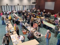WHF2019_007.jpg