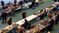 WHF2020006.jpg
