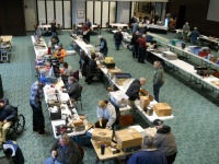 WHF2020046.jpg